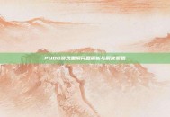 PUBG游戏黑屏问题解析与解决策略