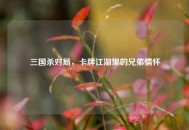 三国杀对局，卡牌江湖里的兄弟情怀