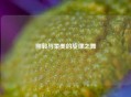 刚毅与柔美的旋律之舞