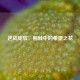 逆战绽放，荆棘中的希望之花