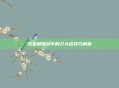流星蝴蝶剑中的刀大招技巧解析