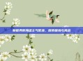新世界的海盗士气低落，探索困境与挑战