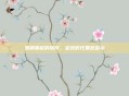 恶霸鲁尼的操作,足球时代黑色警示