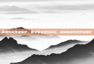 信息系统等级保护，数字安全的压舱石，解读信息系统等级保护