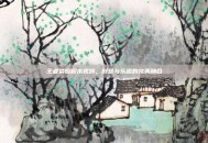 王者荣耀积木视频，创意与乐趣的完美融合