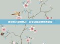 雪地拉力极限挑战,尽享冰雪极限绝美体验