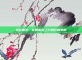 逆战雷法，掌握雷电之力的终极策略