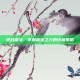 逆战雷法，掌握雷电之力的终极策略