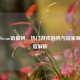 北美Steam销量榜，热门游戏趋势与玩家偏好深度解析