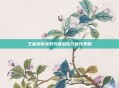 王者荣耀实时性能监控与优化策略