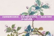 王者荣耀美化包防封，王者荣耀美化包防封，一场与官方博弈的真相与风险