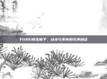 PUBG教练橙子,战术与激情的完美融合