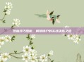 热血技巧剖析，解锁锁户的实战决胜之道