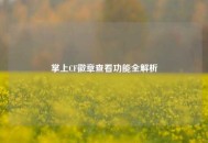 掌上CF徽章查看功能全解析