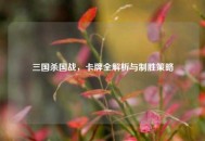 三国杀国战，卡牌全解析与制胜策略