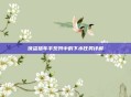 侠盗猎车手系列中的下水任务详解
