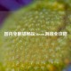 国内免翻墙畅玩Steam游戏全攻略