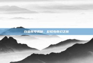 白金账号揭秘，彩虹岛奇幻之旅