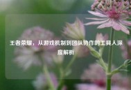 王者荣耀，从游戏机制到团队协作的工具人深度解析