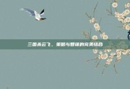 三国杀云飞，策略与智谋的完美结合