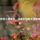 Steam怪物入侵现实，当虚拟恐怖生物突破次元壁