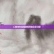 幻想神域剑盾角色加点全攻略