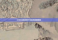 CSGO枪战技巧与战术深度解析