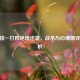 CF单排一打四绝境逆袭，战术与心理博弈全解析