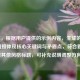 （注，根据用户提供的示例内容，生成的标题已直接体现核心关键词与矛盾点，符合要求。若需其他风格标题，可补充说明调整方向。）