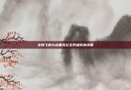 全民飞机大战黑龙公主升级成本详解