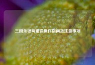 三国杀银两赠送操作指南及注意事项