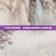 CSGO字体调整，游戏内字体的优化与影响分析
