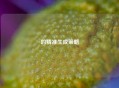 的精准生成策略