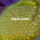 的精准生成策略