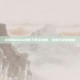龙珠Online港服下载全攻略，步骤与注意事项