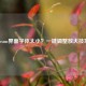 Steam界面字体太小？一键调整放大技巧
