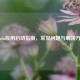 Steam应用启动指南，常见问题与解决方案