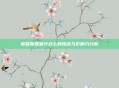 英雄联盟星光战士的排名与影响力分析