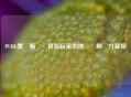 PUBG繁體版對綠色盲玩家的挑戰與解決方案探討