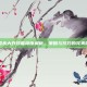 三国杀大乔技能深度解析，策略与技巧的完美融合