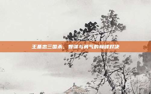 王基忠三国杀,智谋与勇气的巅峰对决