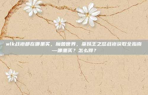 wlk战袍都在哪里买,魔兽世界,巫妖王之怒战袍获取全指南—哪里买?怎么得?