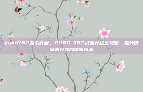 pubg762怎么升级,PUBG 762武器升级全攻略,提升伤害与控制的终极指南