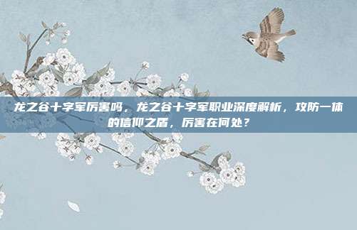 龙之谷十字军厉害吗,龙之谷十字军职业深度解析,攻防一体的信仰之盾,厉害在何处?