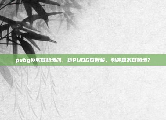 pubg外服算翻墙吗,玩PUBG国际服,到底算不算翻墙?