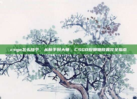 csgo怎么放个,从新手到大师,CSGO投掷物放置完全指南