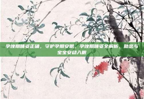 孕晚期睡姿正确,守护孕期安眠,孕晚期睡姿全解析,助您与宝宝安稳入眠