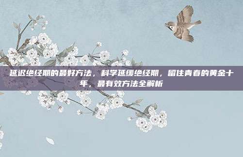 延迟绝经期的最好方法,科学延缓绝经期,留住青春的黄金十年,最有效方法全解析