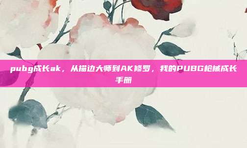 pubg成长ak,从描边大师到AK修罗,我的PUBG枪械成长手册