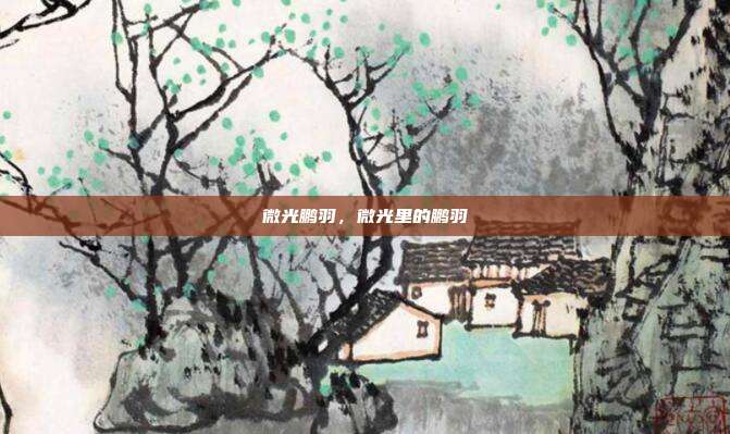 微光鹏羽,微光里的鹏羽